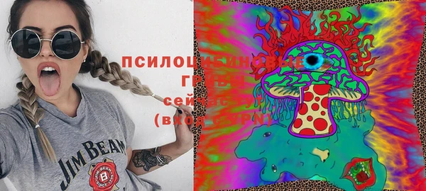крисы Абинск