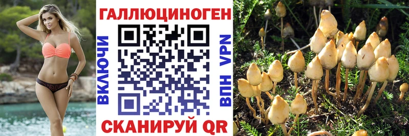 KRAKEN ONION  Нижнекамск  Галлюциногенные грибы Magic Shrooms 